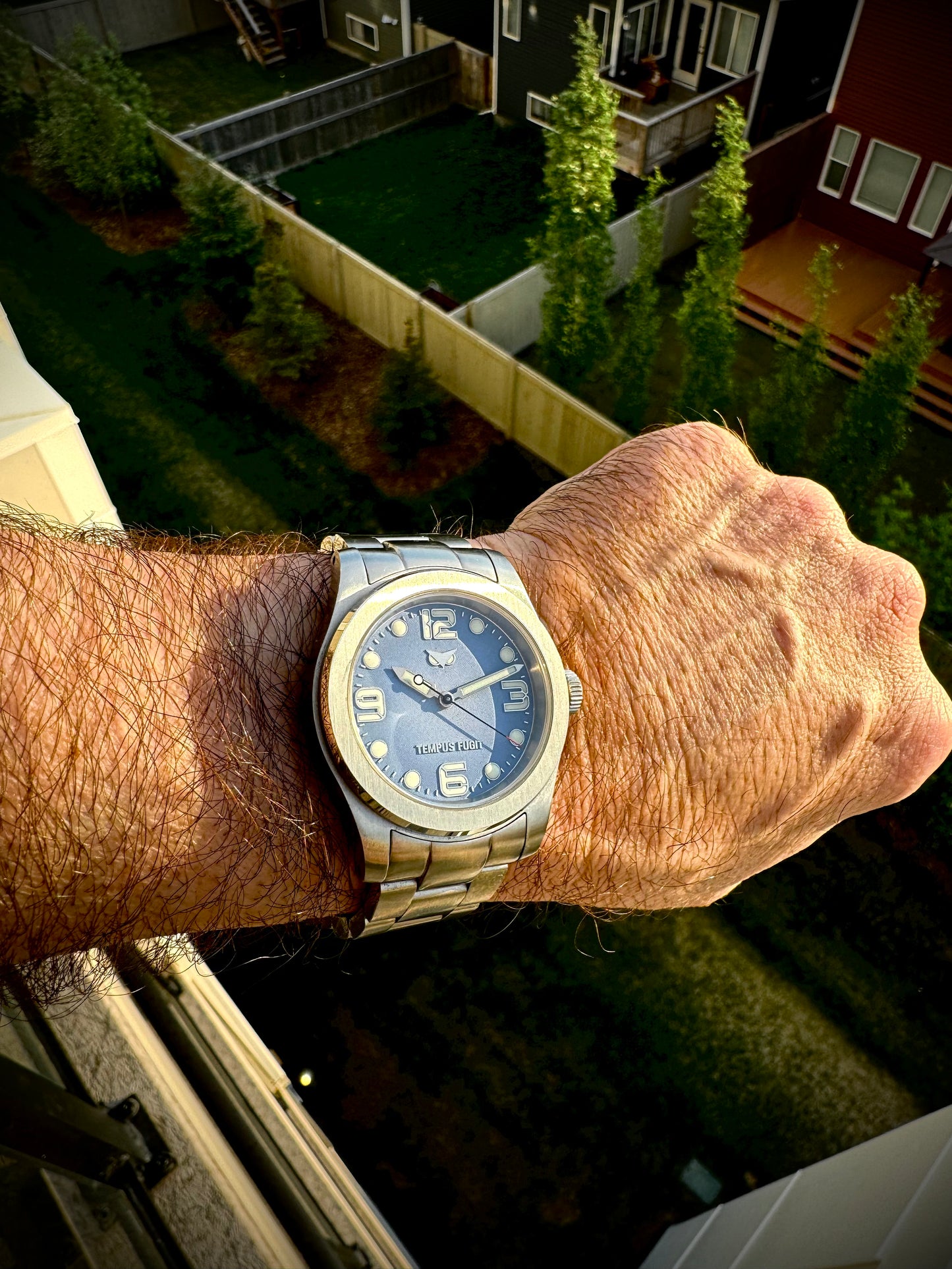 THE VIGIL COLLECTION - NOCTUA WATCH CORP.