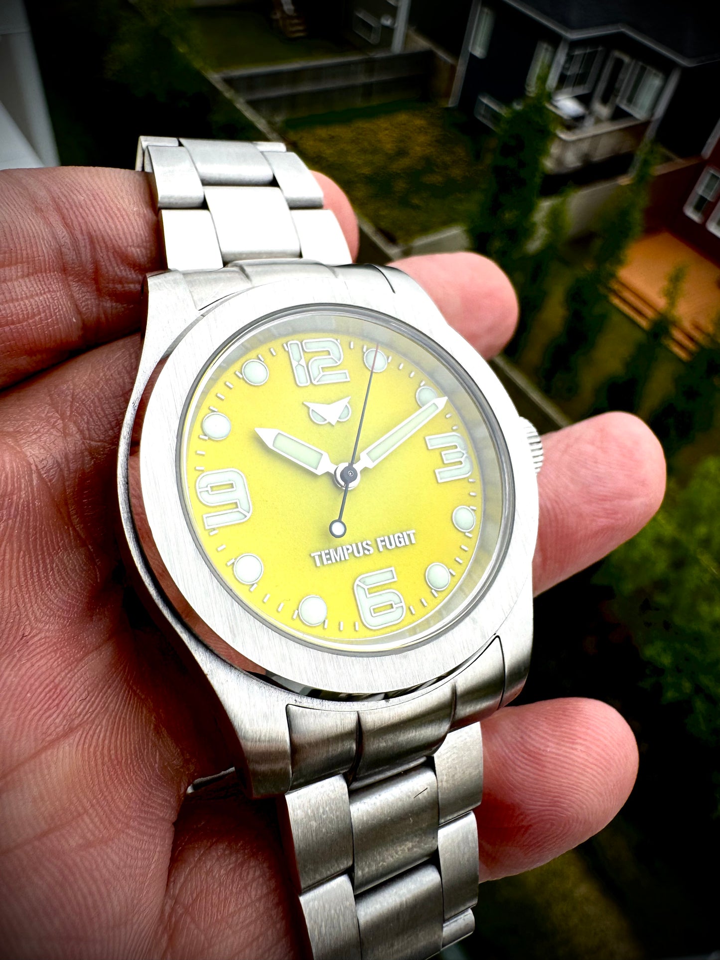 THE VIGIL COLLECTION - NOCTUA WATCH CORP.
